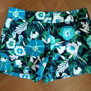 Ann Taylor Loft Shorts